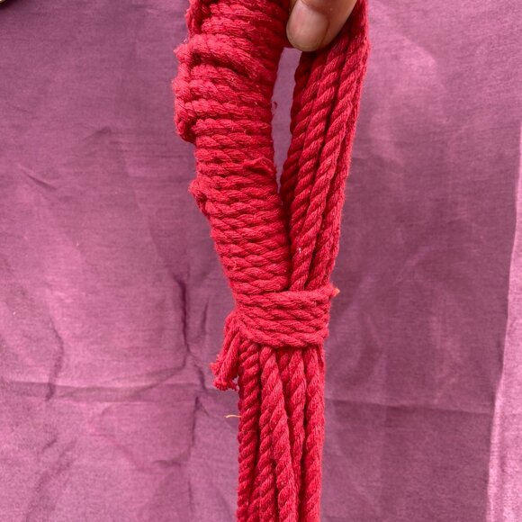 25- (2fer) Illegal Swinging With Deluxe Brazilian - Picture 10 of 17